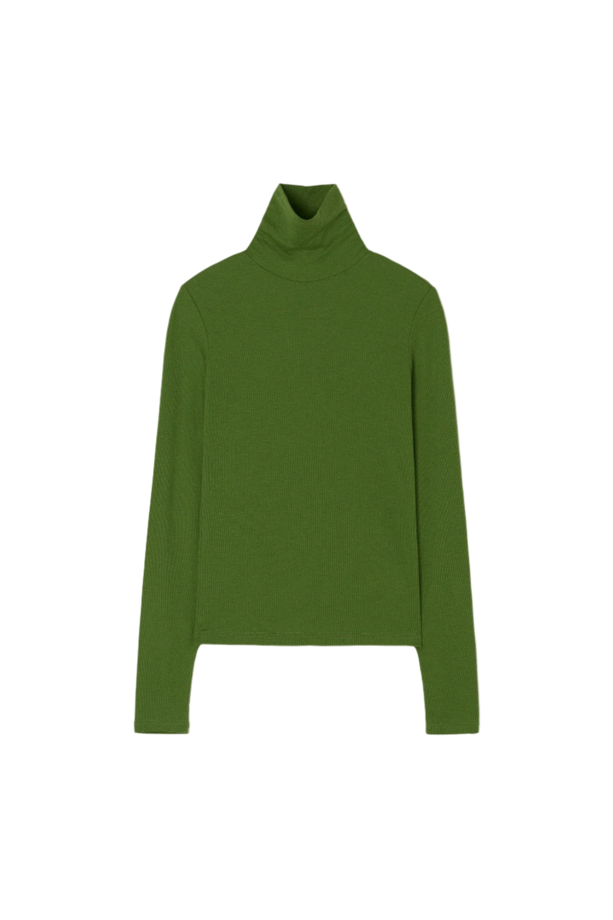 ESSENTIAL RIBBED WOOL TURTLENECK_GREEN