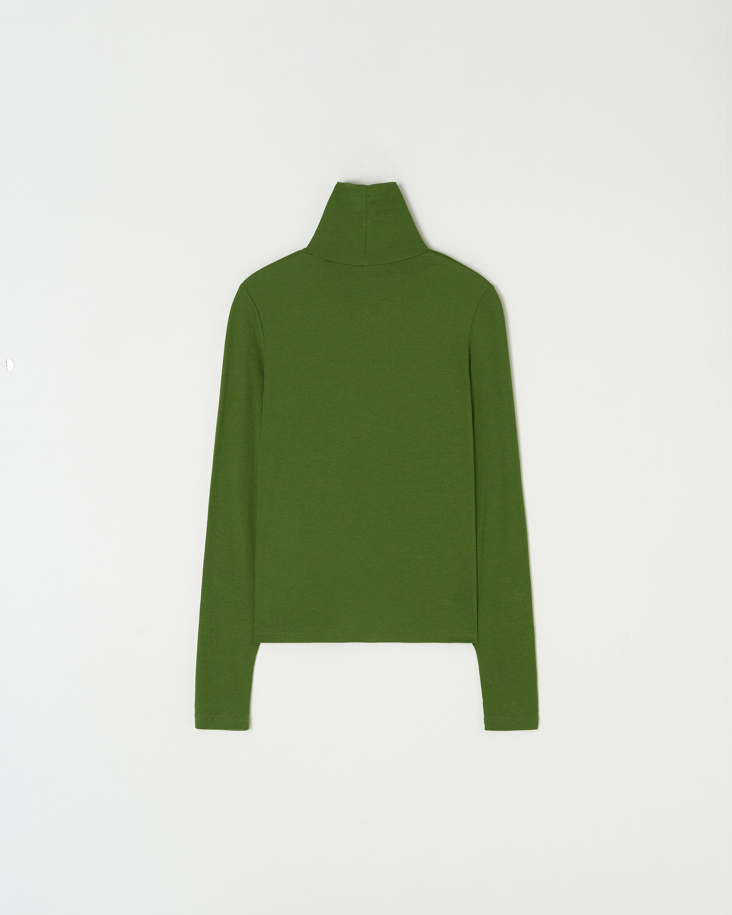 ESSENTIAL RIBBED WOOL TURTLENECK_GREEN