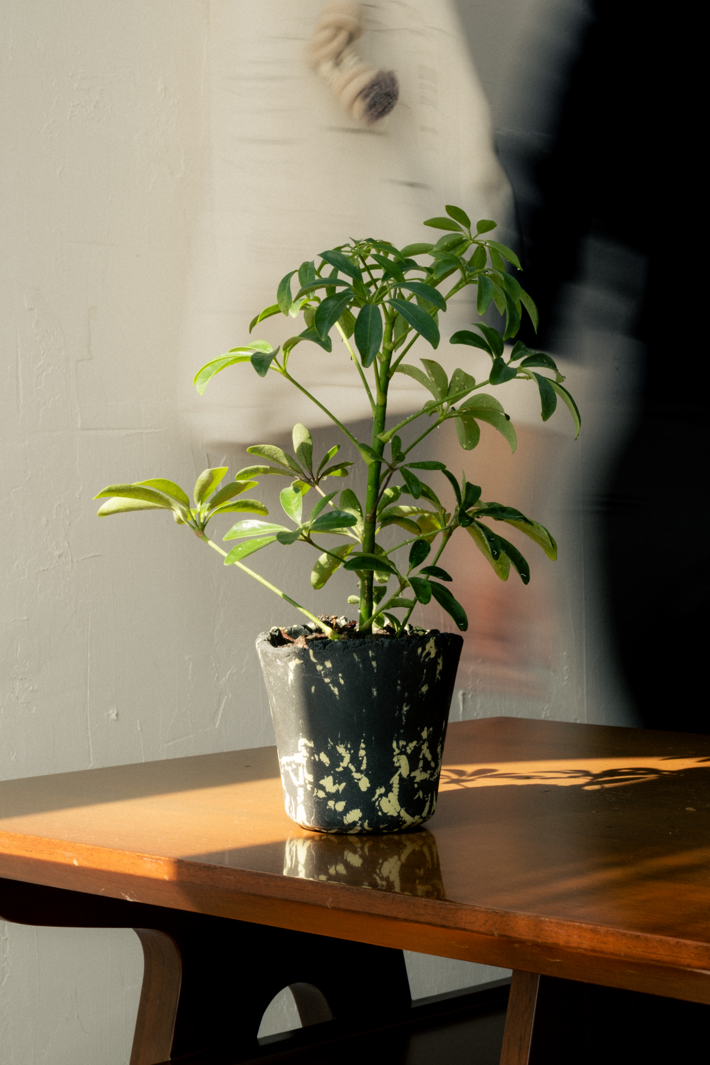 Plant Pot 12_BRICK