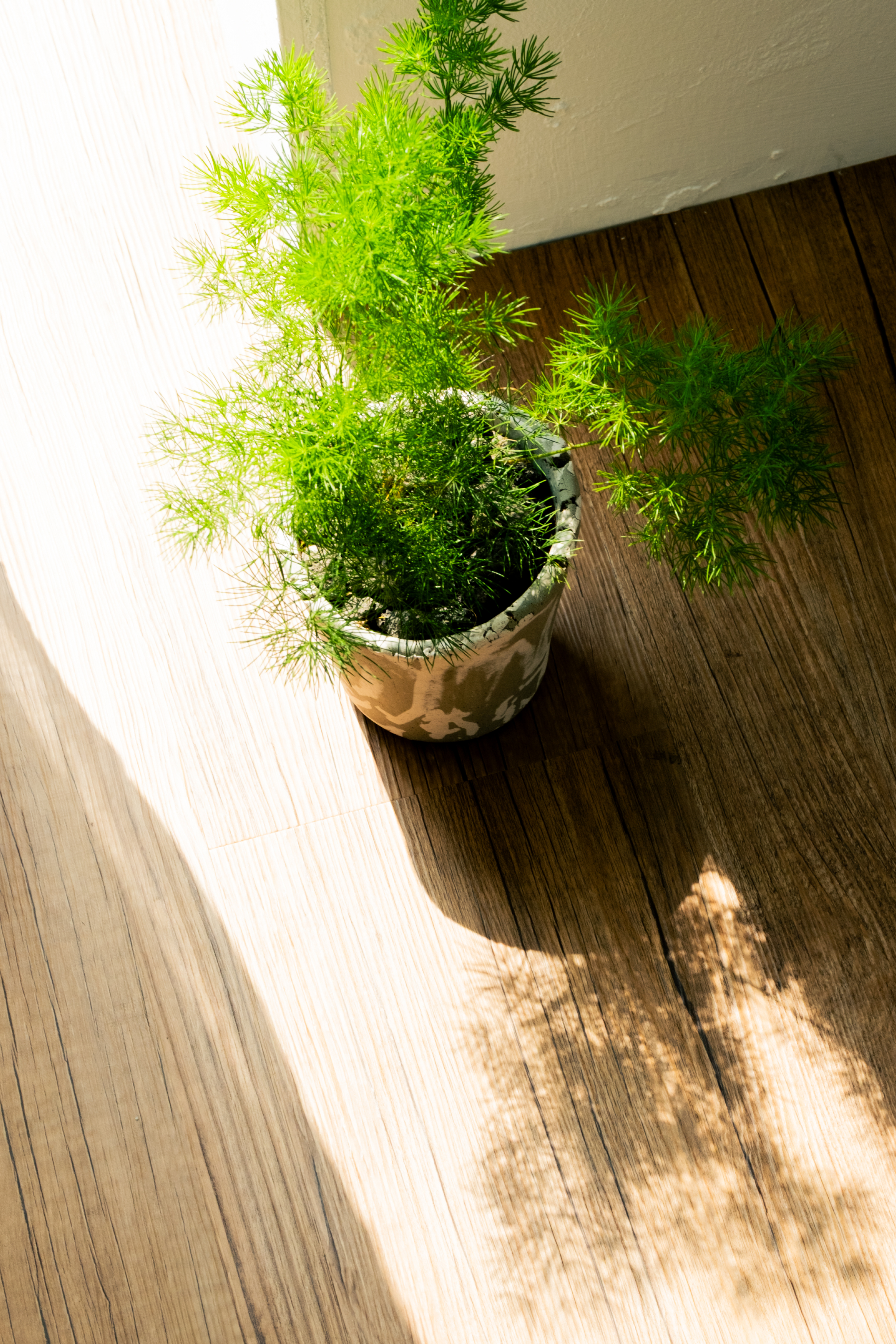 Plant Pot 12_BRICK