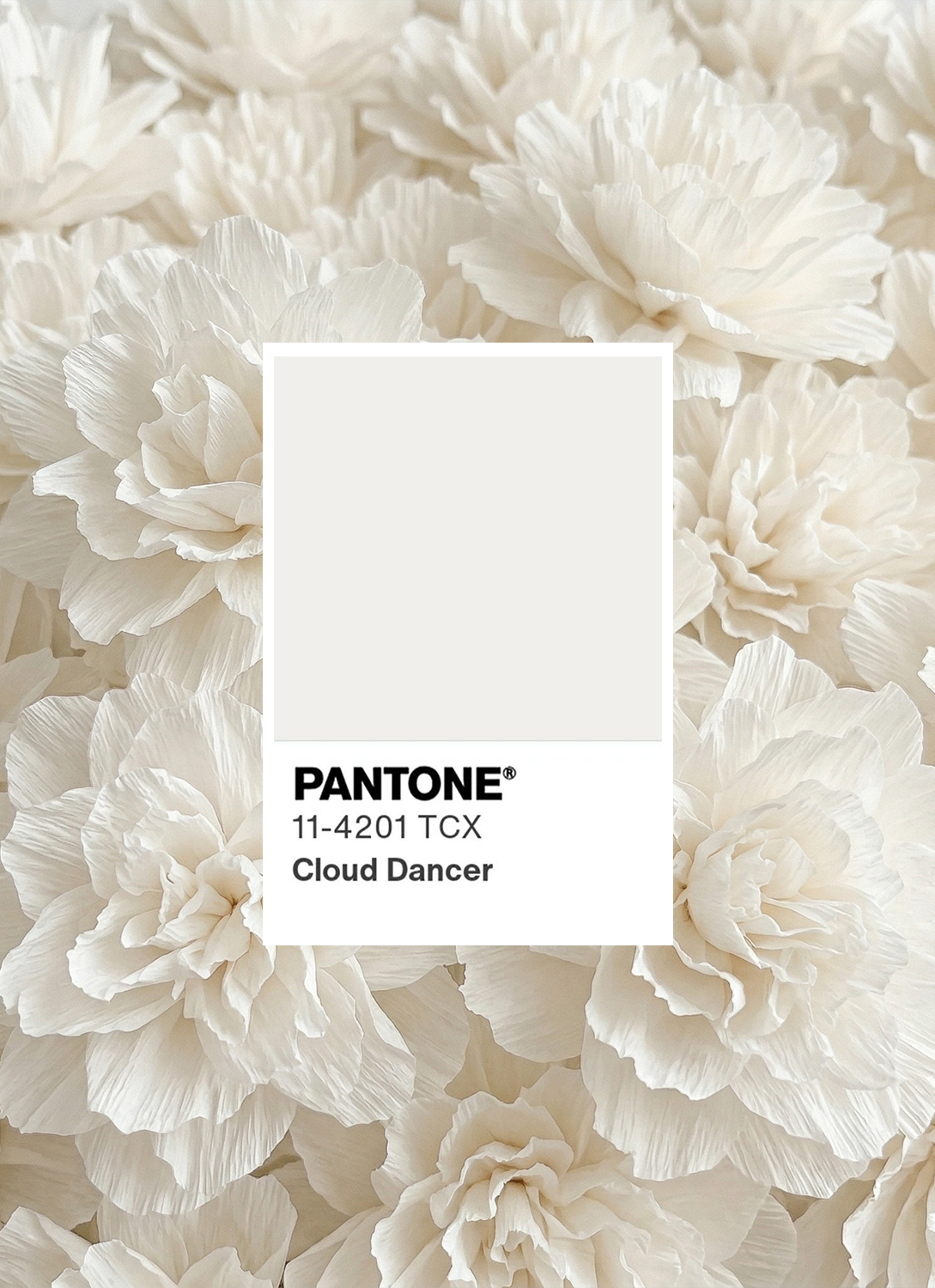 cloud dancer exhibition image