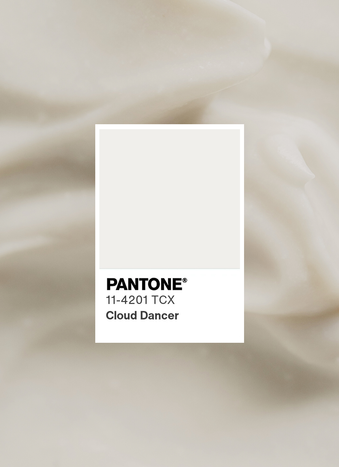 cloud dancer exhibition image